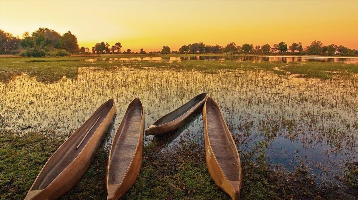Luxury Okavango Delta SafariImage